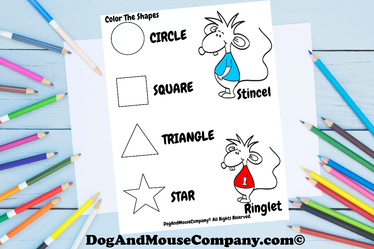 Stincel And Ringlet Learn Shapes With Toddlers | Circle, Triangle, Star, Square by DogAndMouseCompany.com